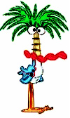 coco2.jpg